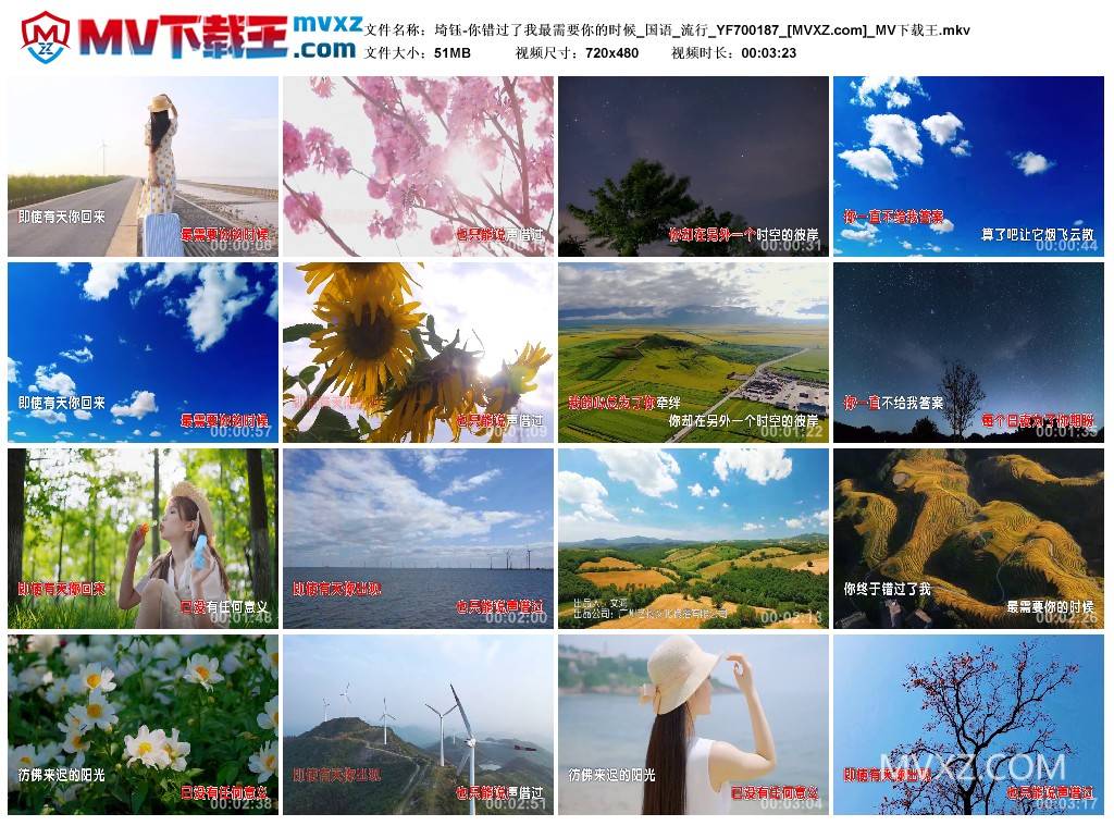 埼钰-你错过了我最需要你的时候_国语_流行_YF700187